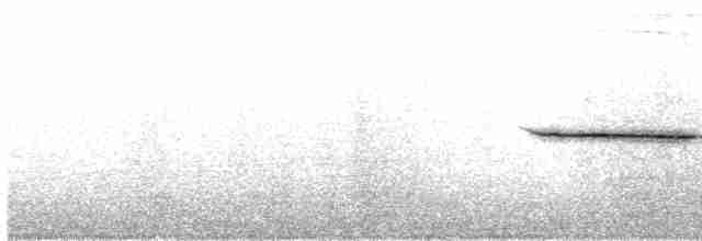 Бруант білобровий - ML616995275