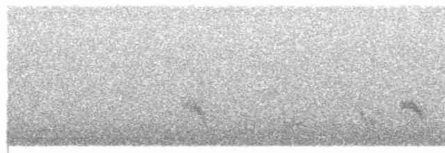 Büyük Mor Kırlangıç - ML616995327