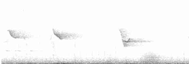 Hawaii-Sichelkleidervogel - ML616997026