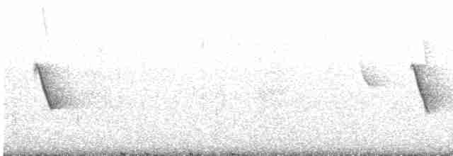 Apapanekleidervogel - ML616997286