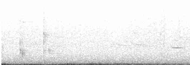 Iiwikleidervogel - ML616997443