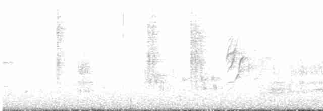 Rotschnabel-Sonnenvogel - ML616997602