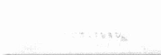 Білозорка фіолетова - ML616997873