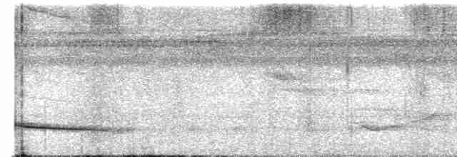 Зернолуск білогорлий - ML616997886