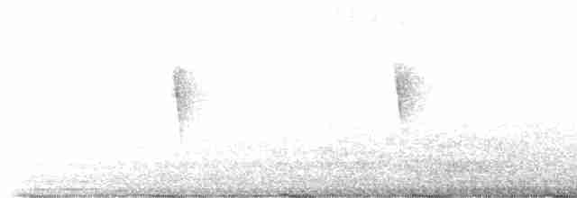 Swainson's Warbler - ML616998188