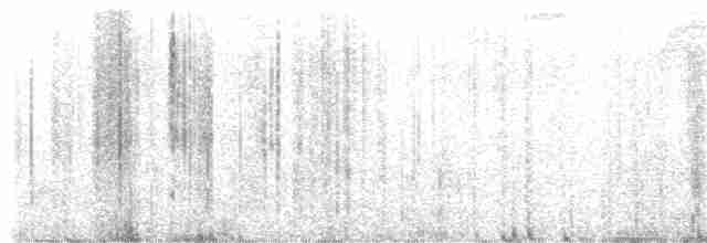 Grallaire de Przewalski - ML616999186