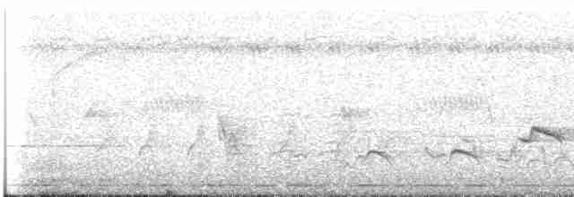 Lavandera Africana - ML616999301