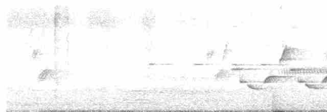 Каролинский крапивник - ML616999958