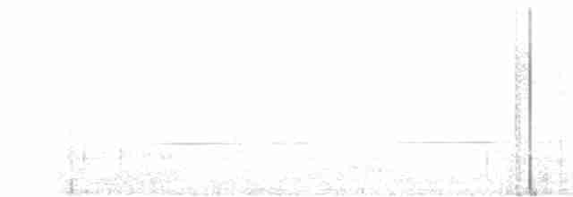 Златокрылая котинга - ML617002166