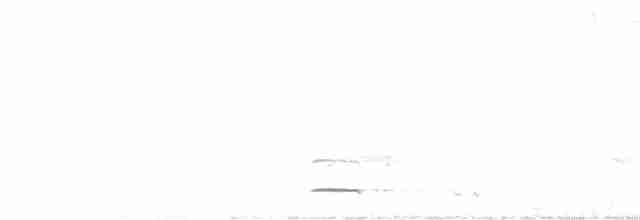 Сичик-горобець євразійський - ML617002842