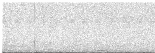 holoubek šedomodrý - ML617003093