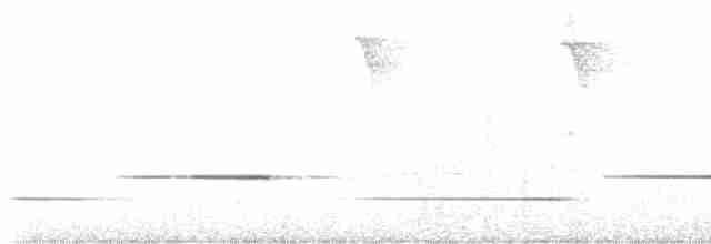 Kestane Göğüslü Çıtkuşu - ML617003141