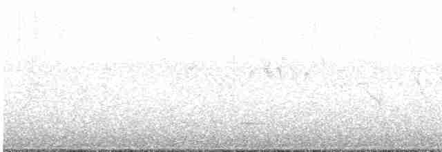 Plain-tailed Wren - ML617003205