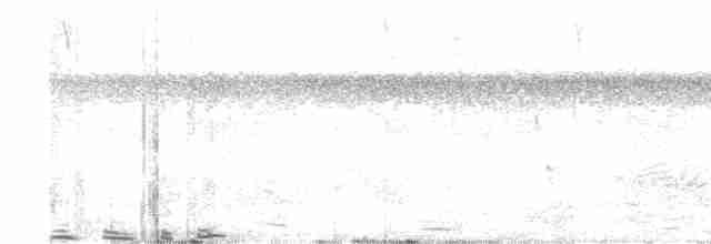 Длиннохвостая батара - ML617003795