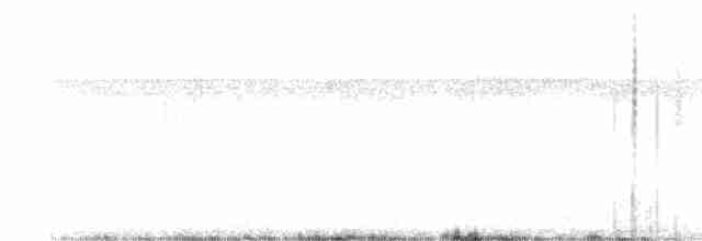 Large-tailed Antshrike - ML617003861