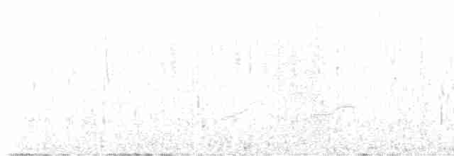Tinamou des Andes - ML617005875