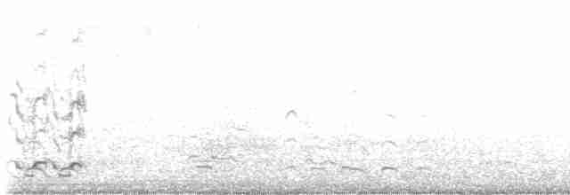 אווז לבן-מצח - ML617007823