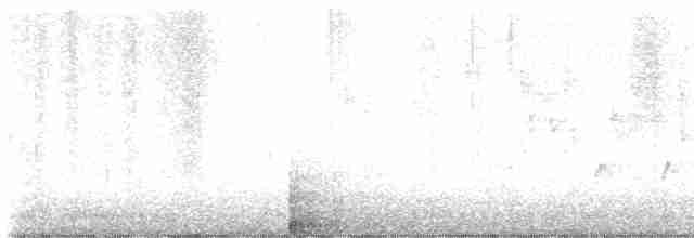Ev Çıtkuşu - ML617010594