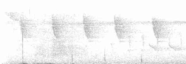 Rotschwanz-Glanzvogel - ML617010824