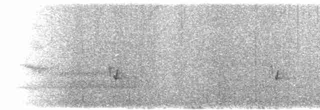 Grauseidenschnäpper - ML617011706
