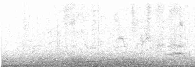 Gartengrasmücke - ML617012161