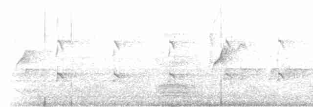 Mor Nektarkuşu - ML617012402