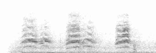 オウム目（インコ科 小さな種） - ML617012576