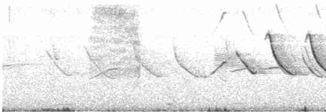 Бруант рудошиїй [група capensis] - ML617013066