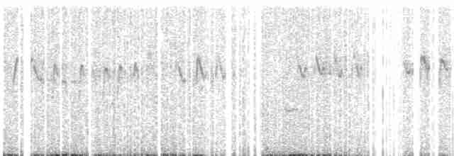 ハジロオーストラリアムシクイ - ML617014786