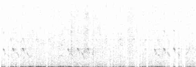 Streifenpanthervogel - ML617014820