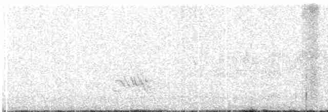 Чернолицый воронец - ML617014859