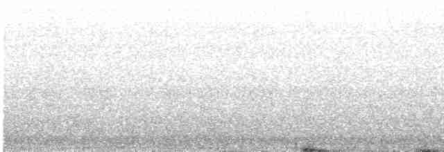 Mirlo Acuático Norteamericano - ML617015062
