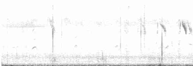 Берингийская жёлтая трясогузка - ML617019141