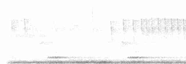 Сичик-горобець яванський - ML617019562