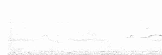 Широкохвістка непальська [група vulcanius] - ML617019807