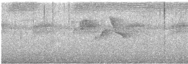Gray-hooded Warbler - ML617019869