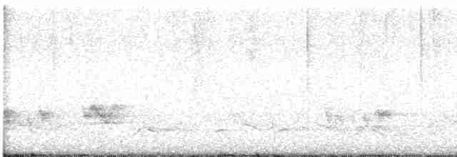 Сплюшка північна (підвид mccallii) - ML617019888