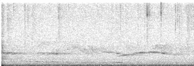 Восточноамериканская совка (mccallii) - ML617020152