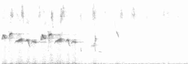 Скрытный ложнокрапивник - ML617020933