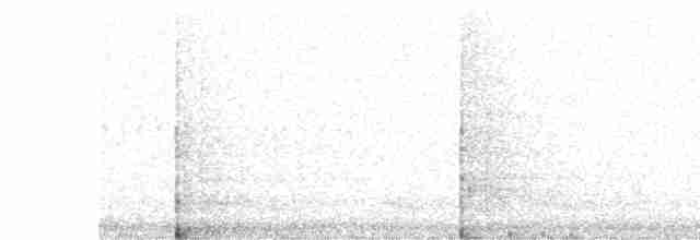 vinterjunko (oreganus gr.) - ML617021501