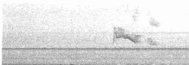 Graumantel-Brillenvogel - ML617022903