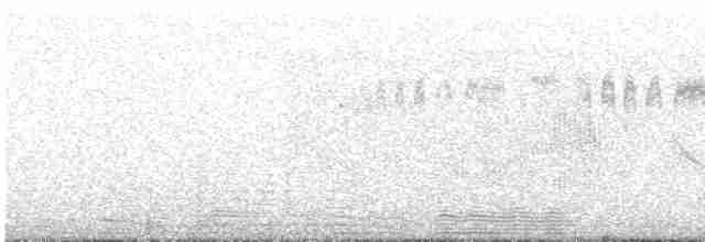 アンデスアマツバメ - ML617023091