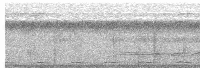 Kara Karınlı Pufkuşu - ML617023967