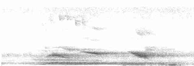 Avustralya Saksağanı - ML617025404