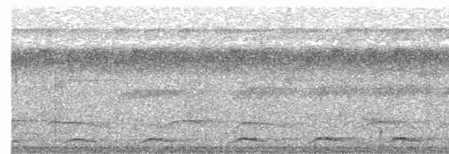 Trogon à queue noire (macroura) - ML617026935