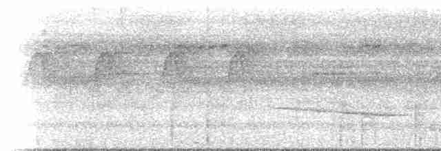 svarthakemaurvarsler - ML617027005
