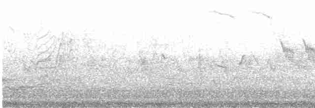 Great Spotted Woodpecker - ML617027134