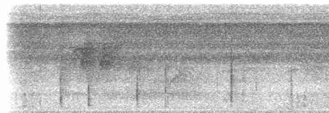Tinamou à gorge blanche - ML617027169