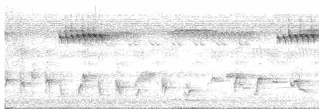 Bulbul Cejiblanco - ML617027567