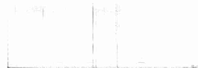 Cygne siffleur - ML617029088
